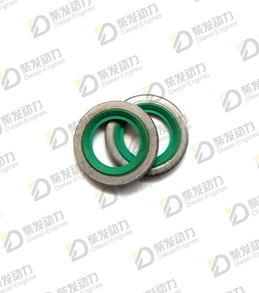 Sealing ring 20852762 